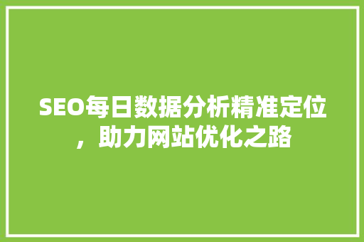 SEO每日数据分析精准定位，助力网站优化之路