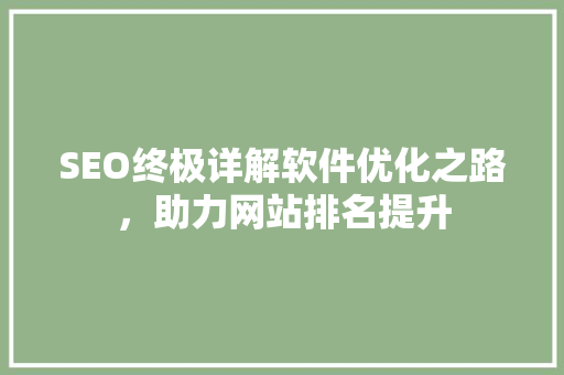 SEO终极详解软件优化之路，助力网站排名提升