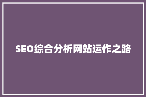 SEO综合分析网站运作之路