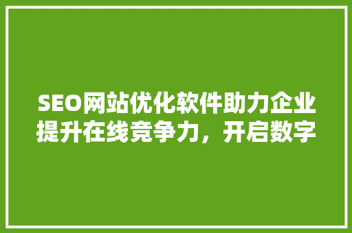SEO网站优化软件助力企业提升在线竞争力，开启数字营销新时代