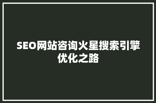 SEO网站咨询火星搜索引擎优化之路