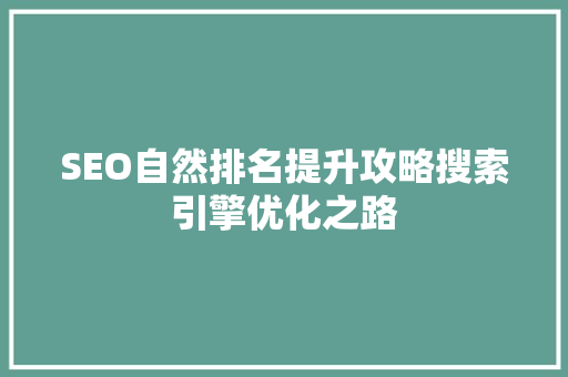 SEO自然排名提升攻略搜索引擎优化之路