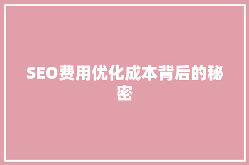 SEO费用优化成本背后的秘密