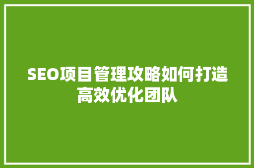 SEO项目管理攻略如何打造高效优化团队