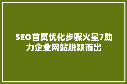 SEO首页优化步骤火星7助力企业网站脱颖而出