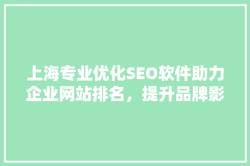 上海专业优化SEO软件助力企业网站排名，提升品牌影响力