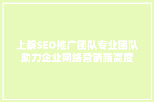 上蔡SEO推广团队专业团队助力企业网络营销新高度