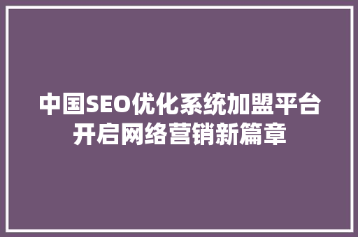 中国SEO优化系统加盟平台开启网络营销新篇章