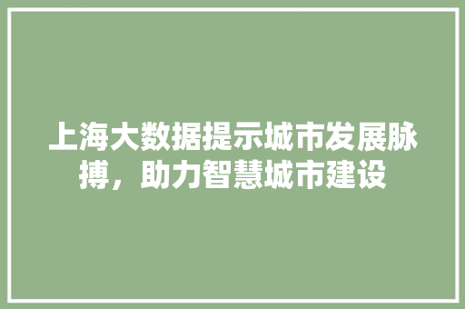 上海大数据提示城市发展脉搏，助力智慧城市建设