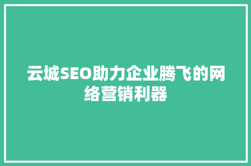 云城SEO助力企业腾飞的网络营销利器