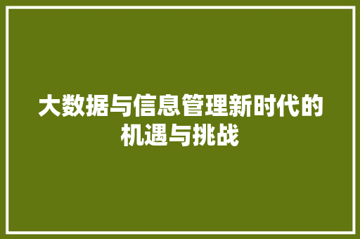 大数据与信息管理新时代的机遇与挑战  第1张