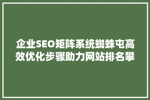 企业SEO矩阵系统蜘蛛屯高效优化步骤助力网站排名攀升