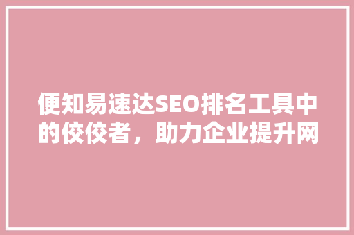 便知易速达SEO排名工具中的佼佼者，助力企业提升网站流量与知名度