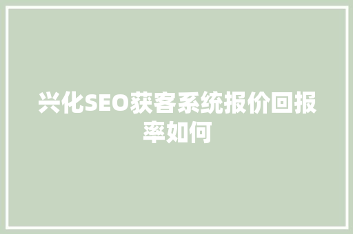 兴化SEO获客系统报价回报率如何  第1张