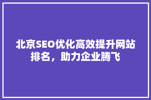 北京SEO优化高效提升网站排名，助力企业腾飞