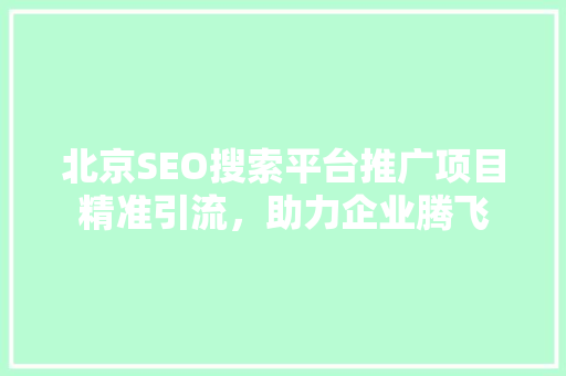 北京SEO搜索平台推广项目精准引流，助力企业腾飞