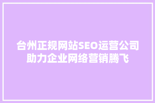 台州正规网站SEO运营公司助力企业网络营销腾飞