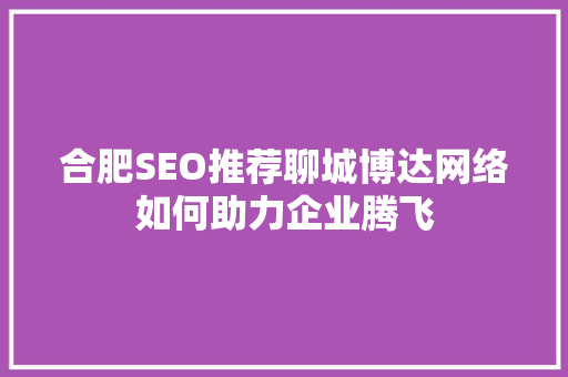 合肥SEO推荐聊城博达网络如何助力企业腾飞  第1张