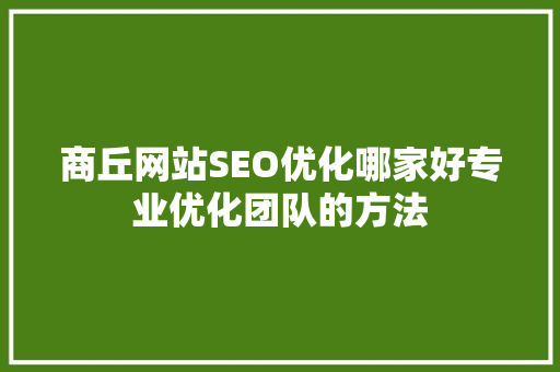 商丘网站SEO优化哪家好专业优化团队的方法