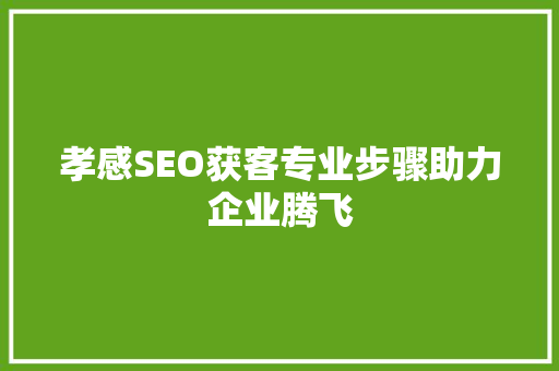 孝感SEO获客专业步骤助力企业腾飞