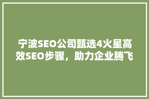 宁波SEO公司甄选4火星高效SEO步骤，助力企业腾飞