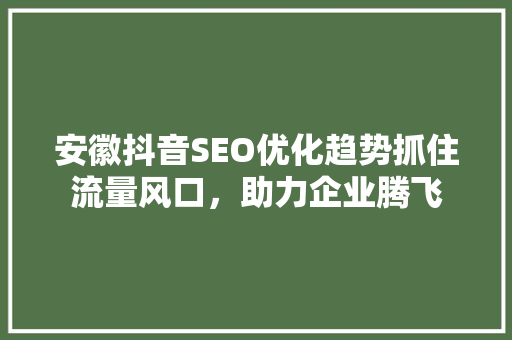 安徽抖音SEO优化趋势抓住流量风口，助力企业腾飞