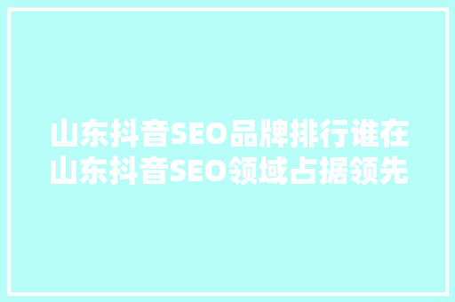山东抖音SEO品牌排行谁在山东抖音SEO领域占据领先地位