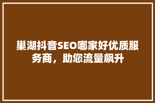 巢湖抖音SEO哪家好优质服务商，助您流量飙升