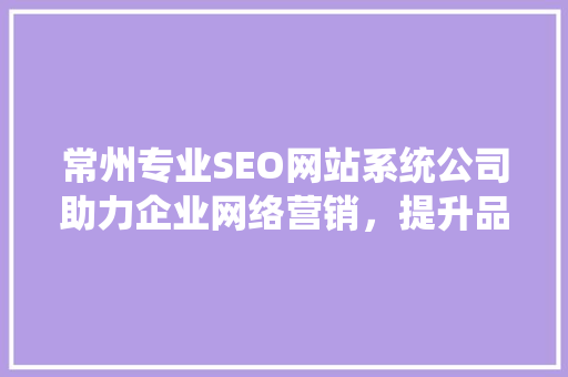常州专业SEO网站系统公司助力企业网络营销，提升品牌影响力