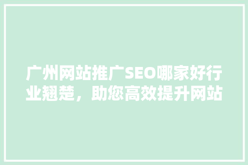 广州网站推广SEO哪家好行业翘楚，助您高效提升网站排名