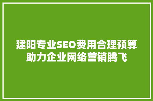 建阳专业SEO费用合理预算助力企业网络营销腾飞