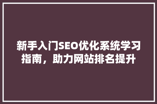 新手入门SEO优化系统学习指南，助力网站排名提升