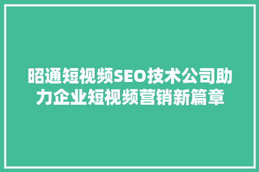 昭通短视频SEO技术公司助力企业短视频营销新篇章