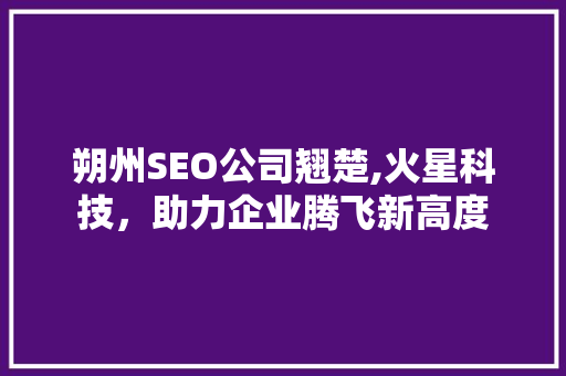 朔州SEO公司翘楚,火星科技，助力企业腾飞新高度