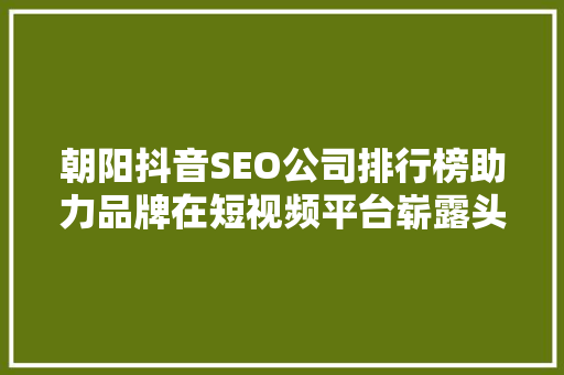朝阳抖音SEO公司排行榜助力品牌在短视频平台崭露头角