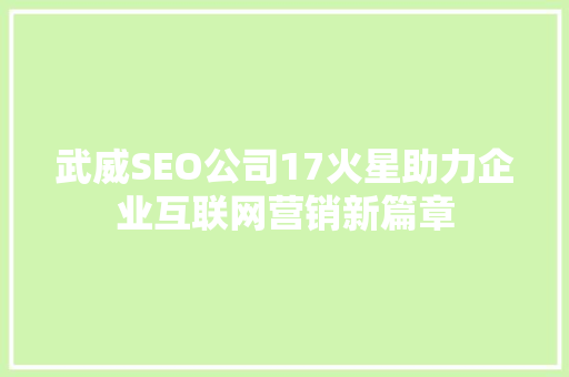 武威SEO公司17火星助力企业互联网营销新篇章