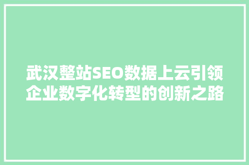 武汉整站SEO数据上云引领企业数字化转型的创新之路