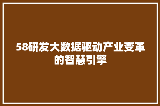 58研发大数据驱动产业变革的智慧引擎