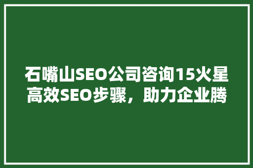石嘴山SEO公司咨询15火星高效SEO步骤，助力企业腾飞