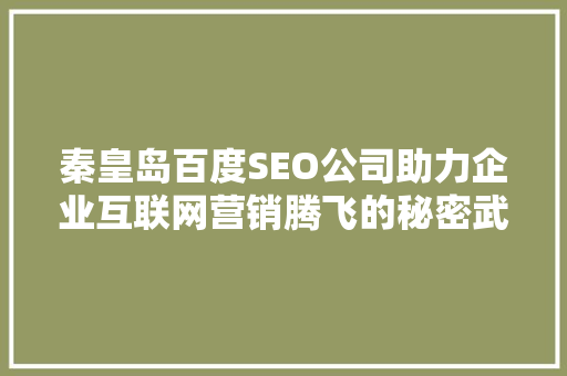 秦皇岛百度SEO公司助力企业互联网营销腾飞的秘密武器