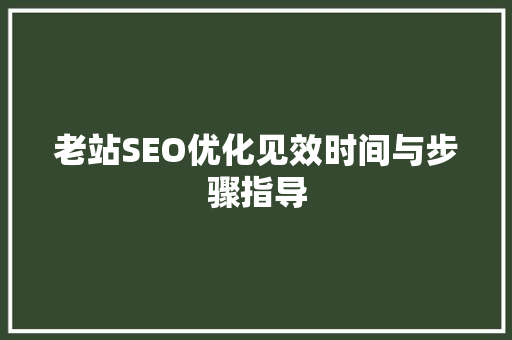 老站SEO优化见效时间与步骤指导