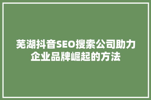 芜湖抖音SEO搜索公司助力企业品牌崛起的方法