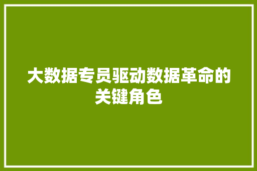 大数据专员驱动数据革命的关键角色  第1张