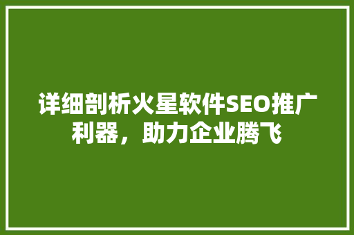 详细剖析火星软件SEO推广利器，助力企业腾飞