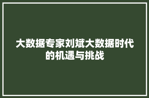 大数据专家刘斌大数据时代的机遇与挑战
