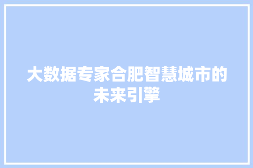 大数据专家合肥智慧城市的未来引擎  第1张