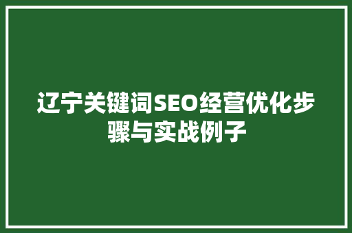 辽宁关键词SEO经营优化步骤与实战例子