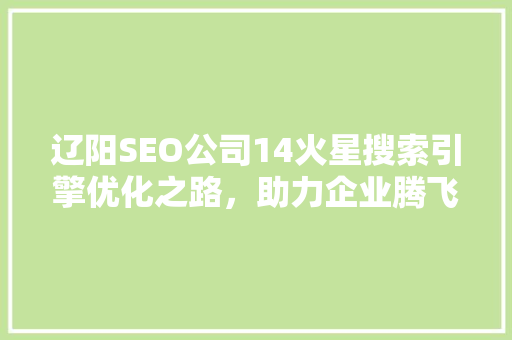 辽阳SEO公司14火星搜索引擎优化之路，助力企业腾飞