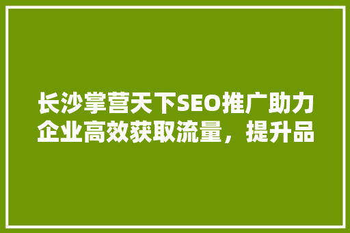 长沙掌营天下SEO推广助力企业高效获取流量，提升品牌影响力