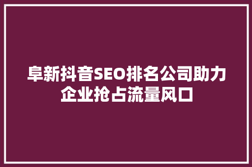 阜新抖音SEO排名公司助力企业抢占流量风口